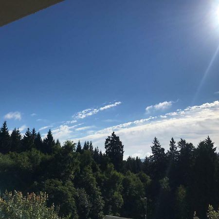 Hahnenklee Ferienpark 1-411 ゴスラー エクステリア 写真