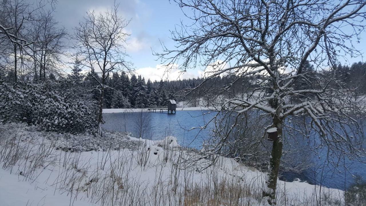 Hahnenklee Ferienpark 1-411 ゴスラー エクステリア 写真